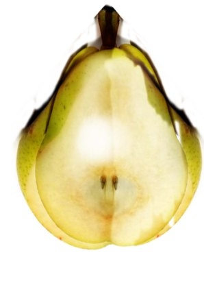 Creation of Pear Lamp: Step 4